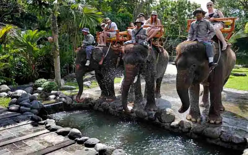 elephant ride elephant ride